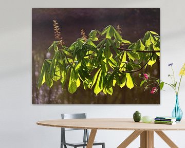 Feuilles de châtaignier