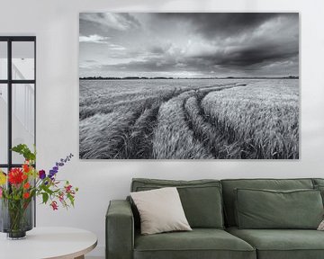 Een weids landschap met mooie wolkenluchten boven de akkers met graan in het Hogeland van Groningen van Bas Meelker