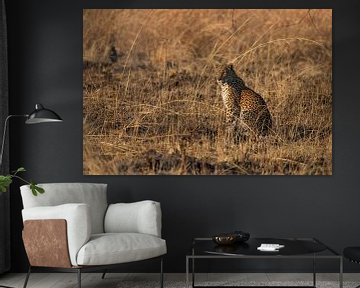 Luipaard in het gras van Pieter Elshout