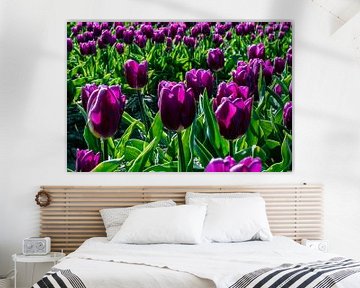 Purple Tulips van Truckpowerr