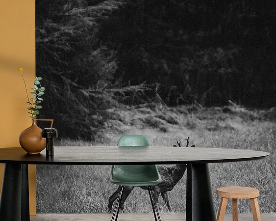 Raumvorschau
