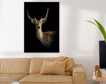 Deer: portrait of a deer with black background by Marjolein van Middelkoop