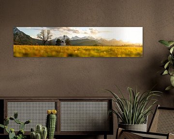 Panoramisch uitzicht vanaf de St. Coleman kapel over de Allgäuer Alpen van Leo Schindzielorz