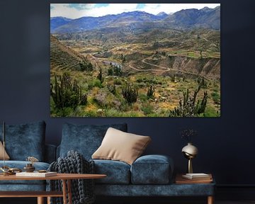 Colca canyon by Antwan Janssen