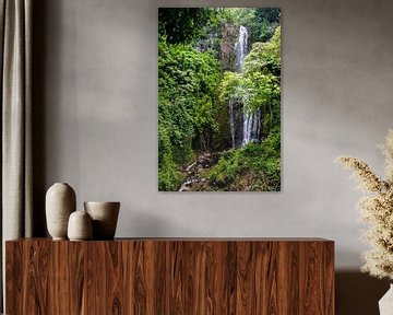 Waterfall on Maui by Dirk Rüter