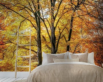 Tall Beech