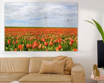 Tulips blossoming in a field during springtime by Sjoerd van der Wal Photography