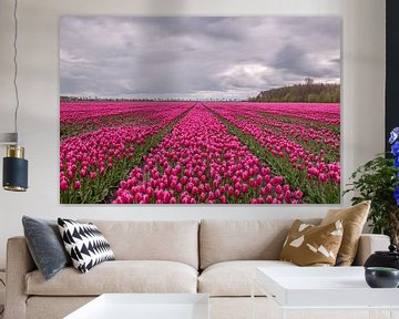 Purple Tulipfield van Nick Janssens