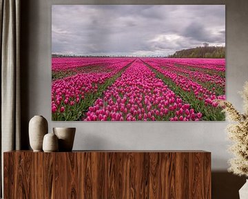 Purple Tulipfield van Nick Janssens