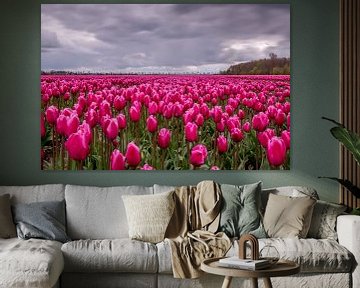 Mysterious purple Tulipfield in the Netherlands van Nick Janssens
