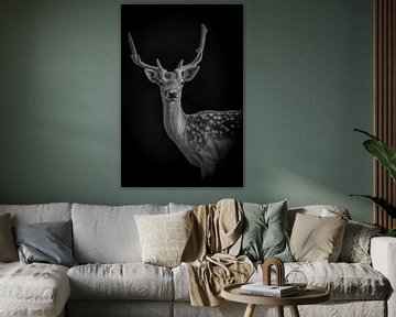 Cerf : portrait d'un cerf avec de beaux bois en noir et blanc sur Marjolein van Middelkoop