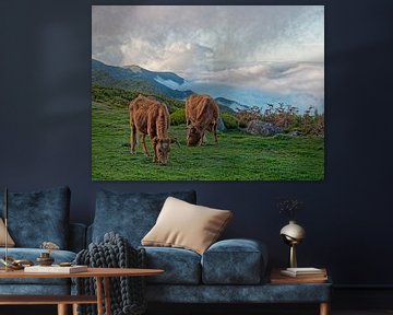 Kühe in den Wolken von BHotography