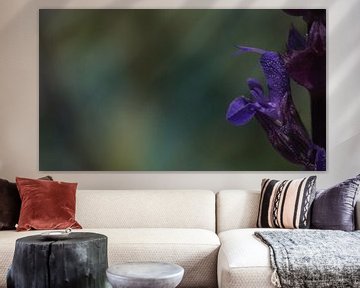paarse bloem van Customvince | Vincent Arnoldussen