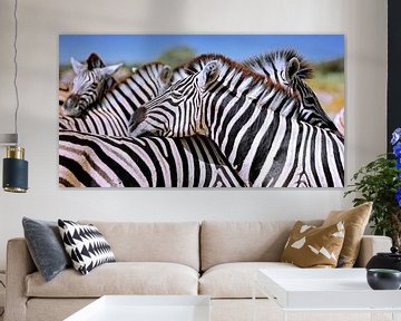 Ontspannen zebra's, Namibië van W. Woyke
