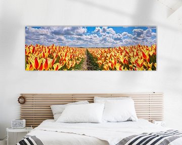 een Lente landschap met geel-rode tulpen in een panoramabeeld