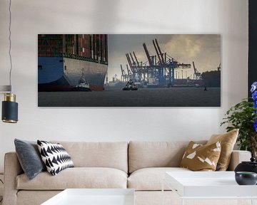 Großes Containerschiff läuft im Hamburger Hafen ein von Jonas Weinitschke