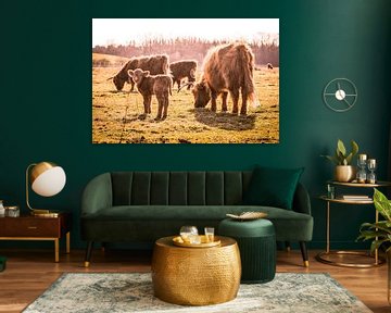 Family with young Scottish Highlanders in Brabant by Floris Oosterveld