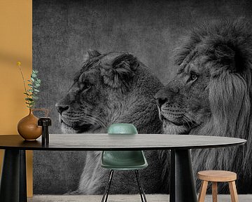 Löwen: Löwe und Löwin Paar in schwarz-weiß
