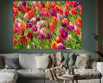 Champ de tulipes sur Marcel van Balken