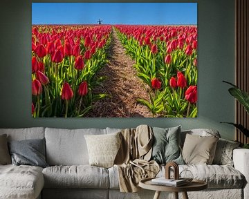 Rode tulpen met molen van Marcel van Balken