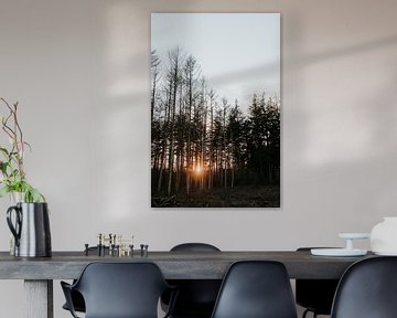 Bos met zonsondergang  | Veluwe, Nederland (Holland) van Trix Leeflang