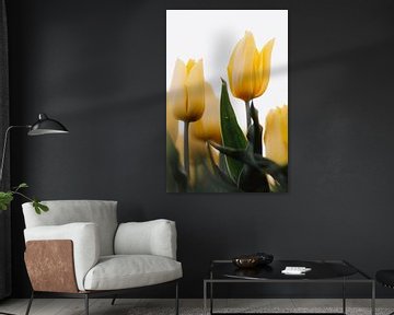 Gele tulpen vanuit een lage hoek | Tulpen foto van Maartje Hensen