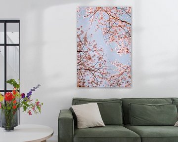 Fleur de cerisier rose (sakura) avec un ciel bleu sur Maartje Hensen