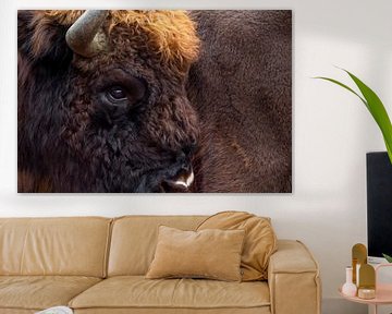 Portret Europese bizon | Wildlife in Nederland van Dylan gaat naar buiten