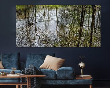 Réflexion avec le canard