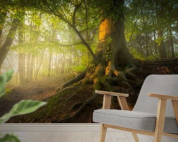 Spring dream - Tree in the morning sun by Jeroen Lagerwerf