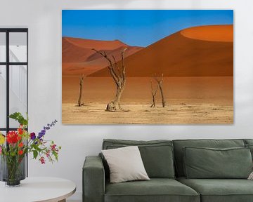 Dead vlei van Antwan Janssen