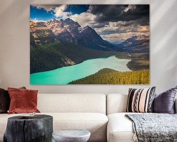 Peyto Lake by Antwan Janssen