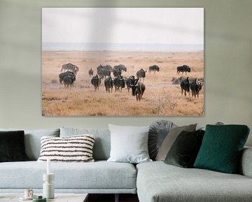 Gnus im Etosha-Nationalpark | Namibia, Wildlife-Fotografie, Kunstdruck von Suzanne Spijkers