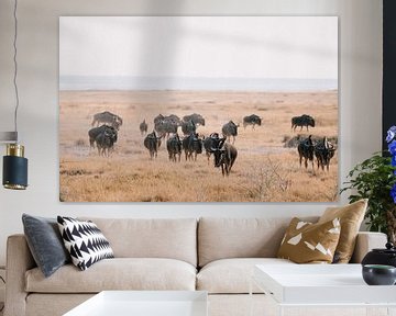 Gnoes in Etosha National Park || Namibië, Wildlife fotografie, Art print van Suzanne Spijkers