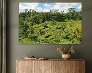 Reisfelder Bali von Antwan Janssen