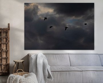 Vogels met donkere wolken van Nynke Altenburg