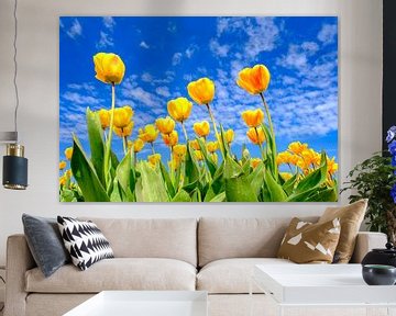 Gelbe Tulpen wachsen im Frühling auf einem Feld von Sjoerd van der Wal Fotografie