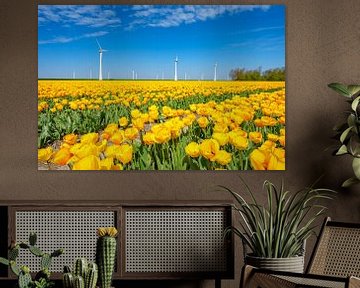 Gelbe Tulpen wachsen im Frühling auf einem Feld von Sjoerd van der Wal Fotografie