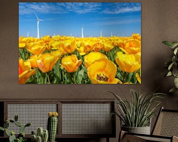 Yellow Tulips growing in a field during springtime by Sjoerd van der Wal Photography