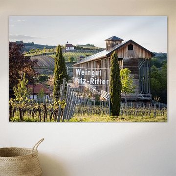 Gradierbau (zoutziederij) in het kuurpark van Bad Dürkheim met uitzicht op de St. Michaelskapel