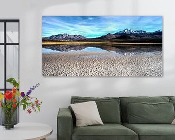 Altiplano Chile von Stefan Havadi-Nagy