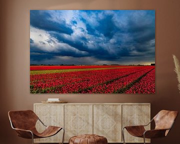 Tulips in the polder by Hans de Waay