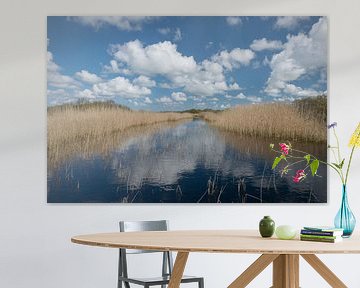 Fantastische weerspiegeling van wolken tussen het riet