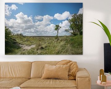 Panorama met boom op Schiermonnikoog van Patrick Verhoef