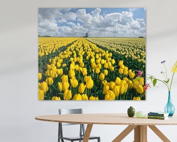Molen de Prinsenhof met een bollenveld van gele tulpen, Nederland, truc, montage van Rene van der Meer