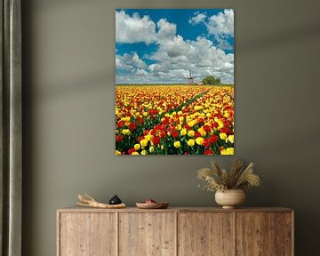 Windmolen met bollenveld van rode en gele tulpen, Nederland, truc, montage van Rene van der Meer