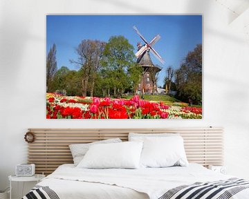 Muurmolen, windmolen, molen, bloemen, Bremen, Duitsland, Europa