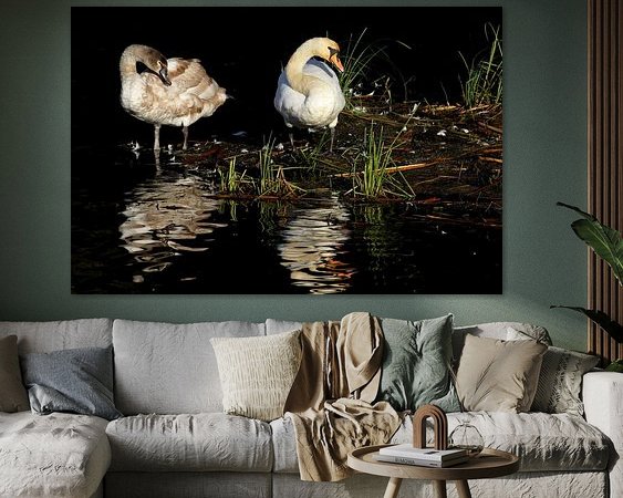 Aperçu de la chambre