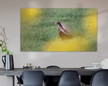 Pheasant between the flowers by Bas Ronteltap