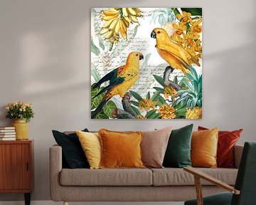 Twee goudgele papegaaien in tropisch paradijs van christine b-b müller